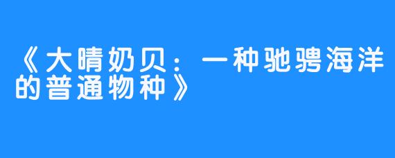 《大晴奶贝：一种驰骋海洋的普通物种》