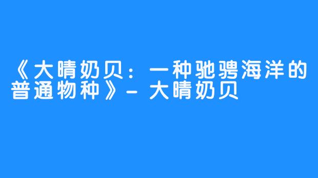 《大晴奶贝：一种驰骋海洋的普通物种》-大晴奶贝