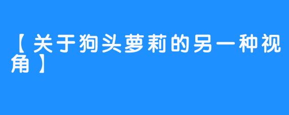 【关于狗头萝莉的另一种视角】