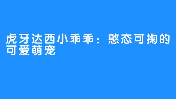 虎牙达西小乖乖：憨态可掬的可爱萌宠