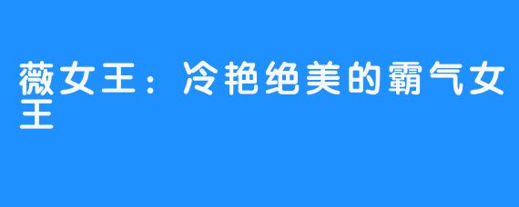 薇女王:冷艳绝美的霸气女王