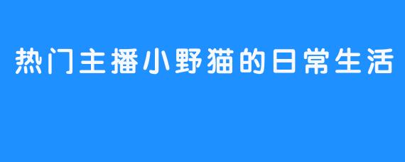 热门主播小野猫的日常生活