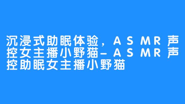 沉浸式助眠体验，ASMR声控女主播小野猫-ASMR声控助眠女主播小野猫