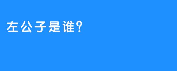 左公子是谁？