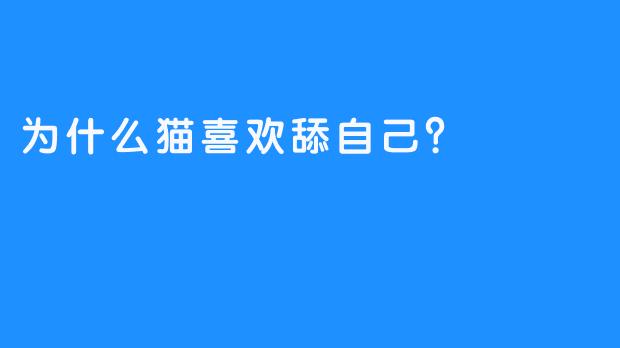 为什么猫喜欢舔自己？