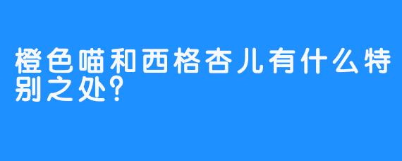橙色喵和西格杏儿有什么特别之处？