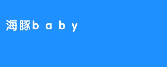 海豚baby