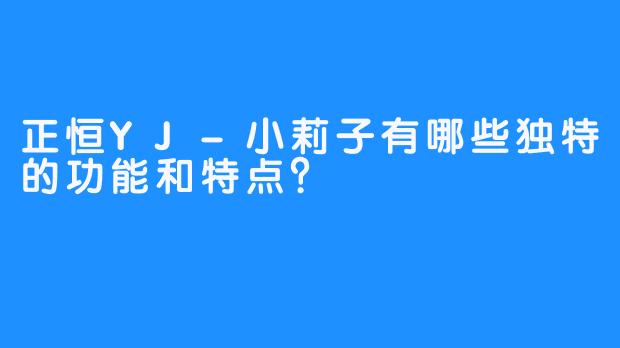 正恒YJ-小莉子有哪些独特的功能和特点？