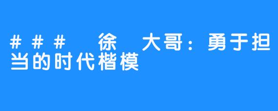 ### 徐珺大哥：勇于担当的时代楷模