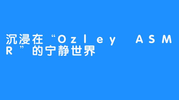 沉浸在“Ozley ASMR”的宁静世界