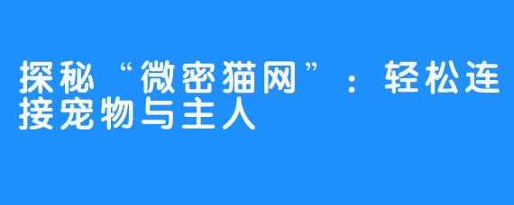 探秘“微密猫网”：轻松连接宠物与主人
