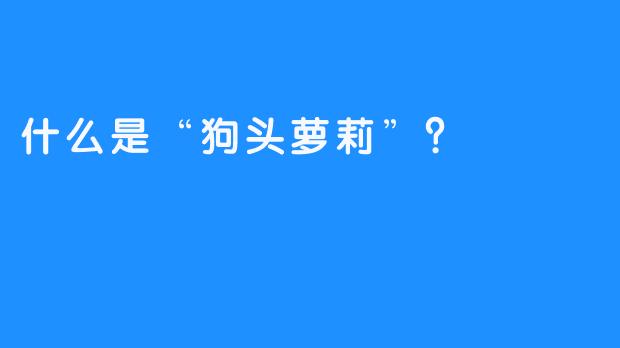 什么是“狗头萝莉”？  