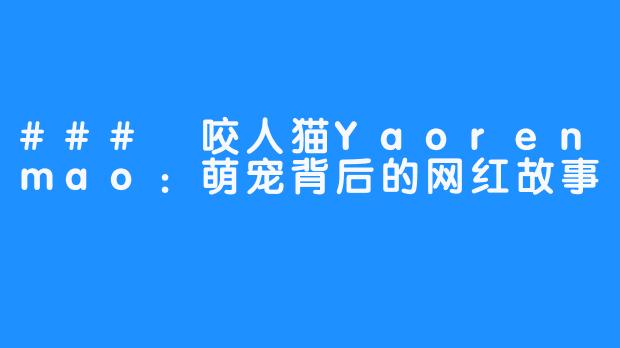 ### 咬人猫Yaorenmao：萌宠背后的网红故事