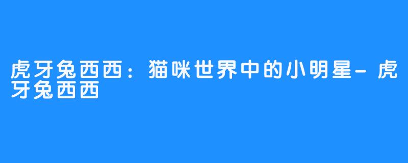虎牙兔西西:猫咪世界中的小明星-虎牙兔西西