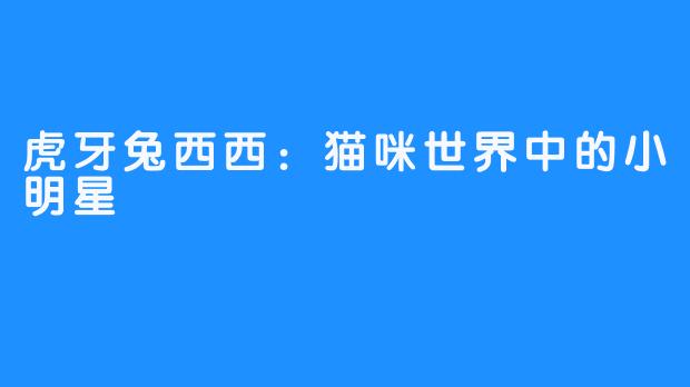 虎牙兔西西:猫咪世界中的小明星