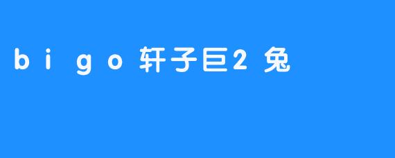 bigo轩子巨2兔