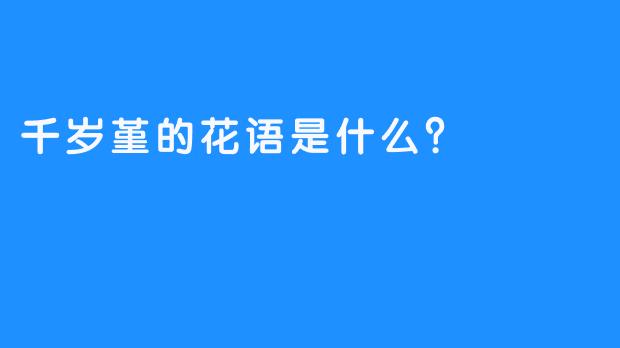 千岁堇的花语是什么？