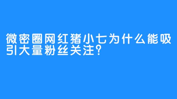 微密圈网红猪小七为什么能吸引大量粉丝关注？