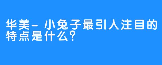 华美-小兔子最引人注目的特点是什么？