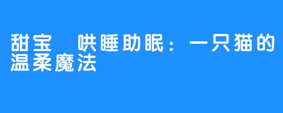 甜宝🐾哄睡助眠：一只猫的温柔魔法