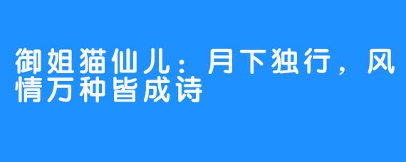 御姐猫仙儿：月下独行，风情万种皆成诗