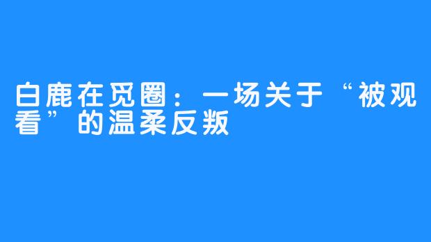 白鹿在觅圈:一场关于“被观看”的温柔反叛