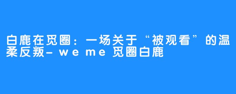 白鹿在觅圈:一场关于“被观看”的温柔反叛-weme觅圈白鹿